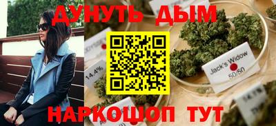 сатива Кулебаки
