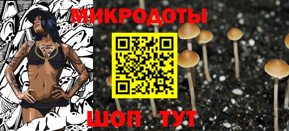 Галлюциногенные грибы мухоморы Кимовск