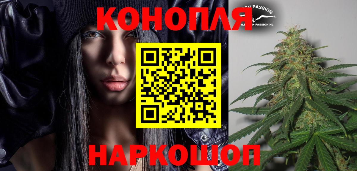 Бошки марихуана Bruce Banner  Каннабис ГИДРОПОН  Кимовск  Вход с VPN  Конопля White Widow 